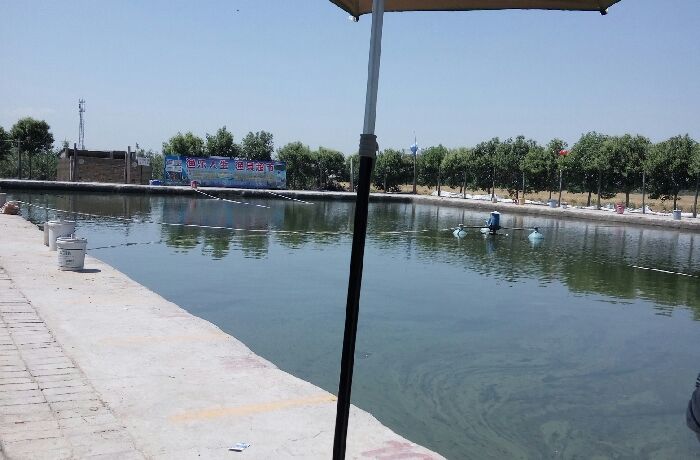 蒲城转湾垂钓园