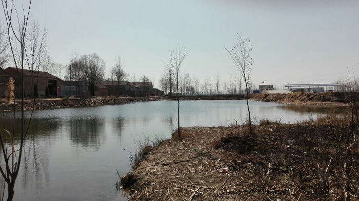 范县辛庄镇董庄钓点