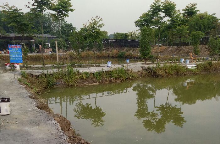 鱼乐休闲垂钓庄