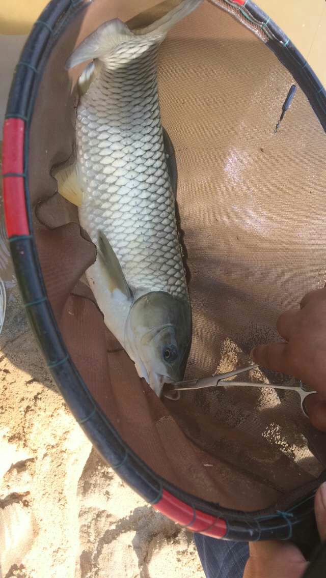 团风得胜钓鱼场