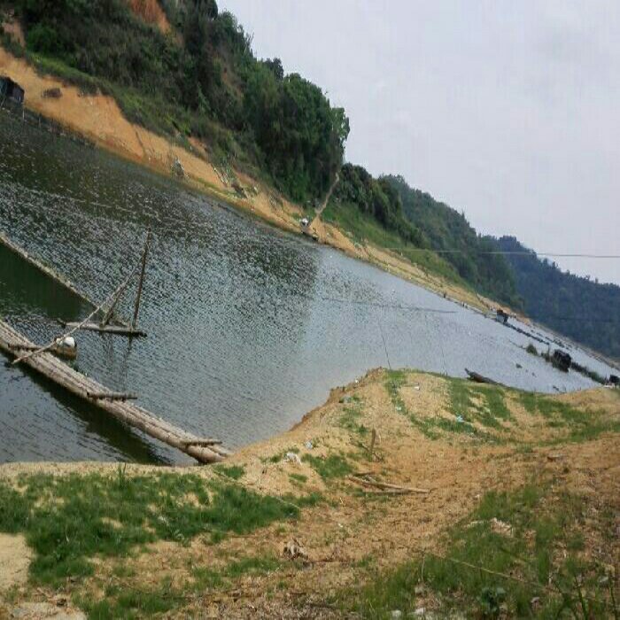 向阳水库方田贝