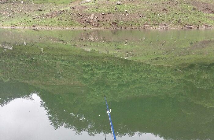 资兴黄草鸡婆垄