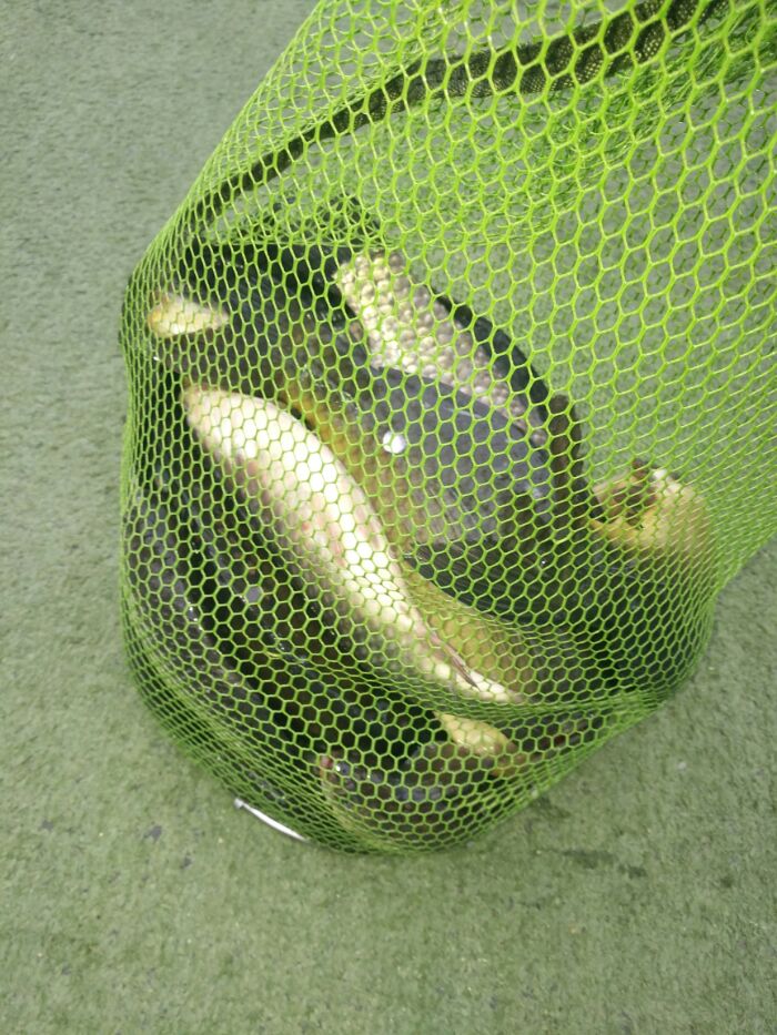 天景龙山庄钓场