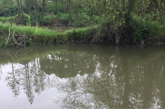 曹家河电排沟