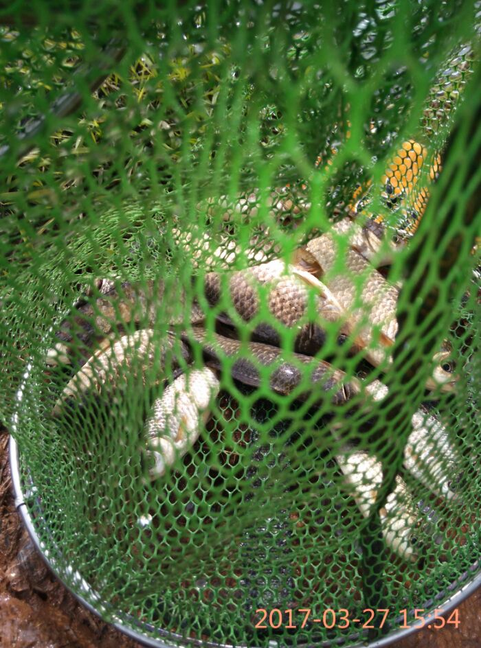 碧桂园山湖城内湖