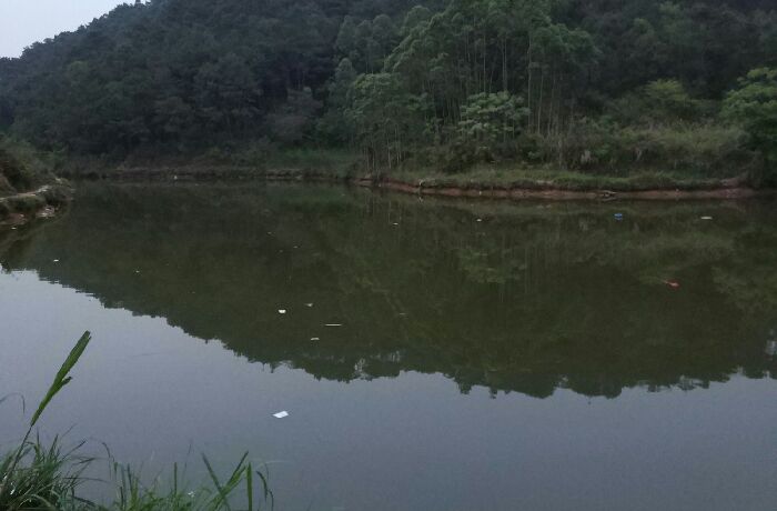 容县十里甘旺及洋塘