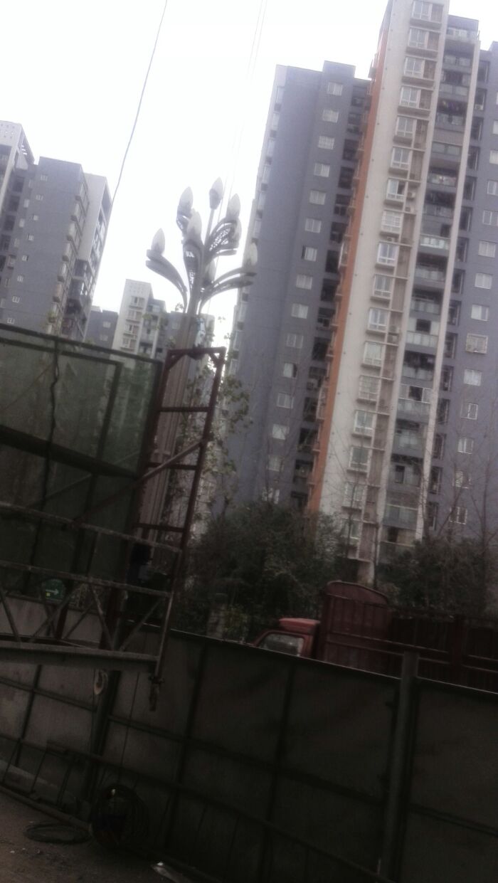 花椒种植生产基地