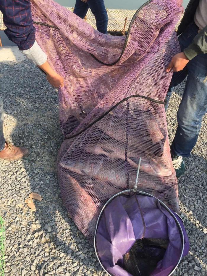 博涛库钓俱乐部