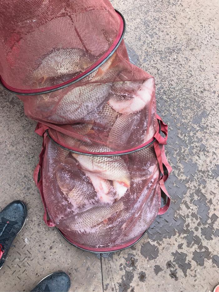 世纪城如意楼赌钓塘