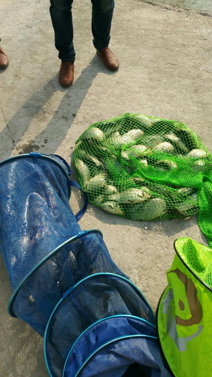 缘聚黑坑垂钓园