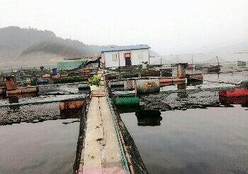 万峰湖央索网箱钓场