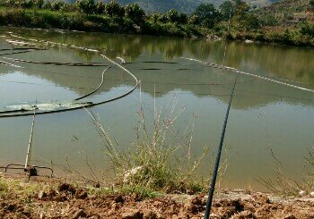 兄弟农家乐钓场