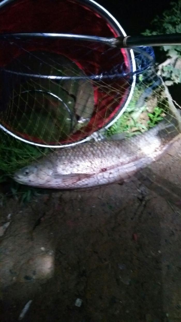 水簾休閒釣魚場