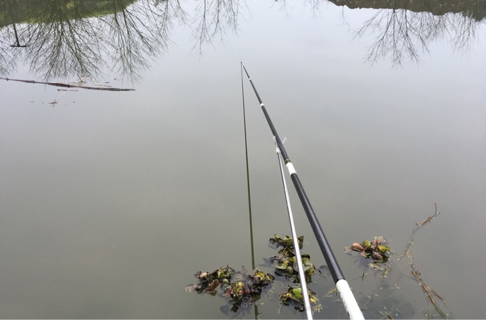 绵阳永兴镇希望试料公司旁边野河