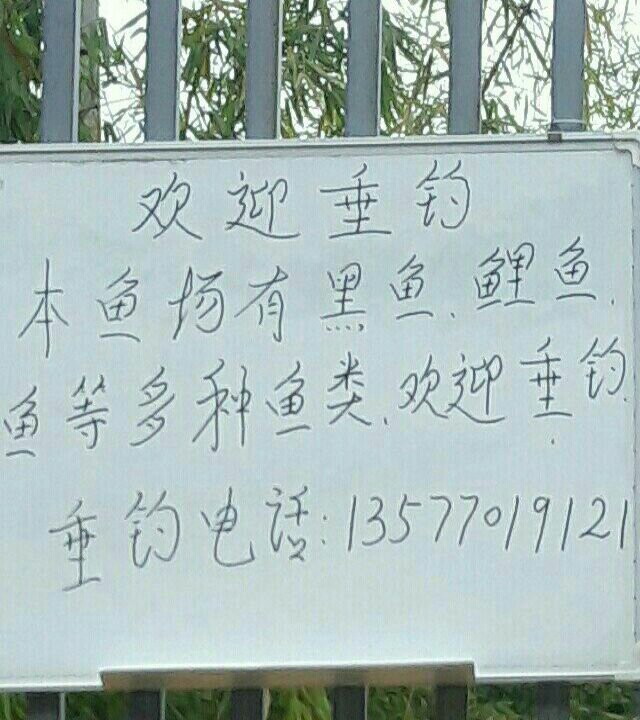 滇郡景观苗木基地内