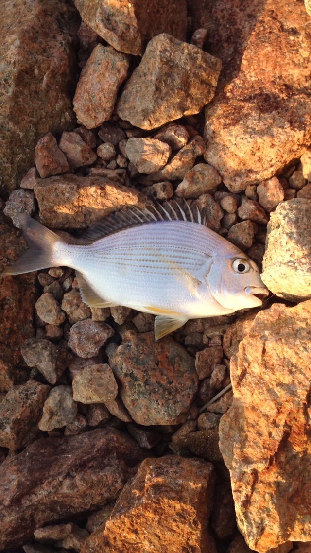 富通城四期附近