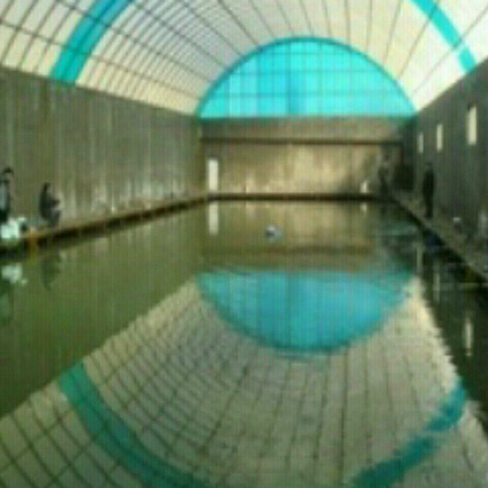 顺诚嘉逸冬钓大棚