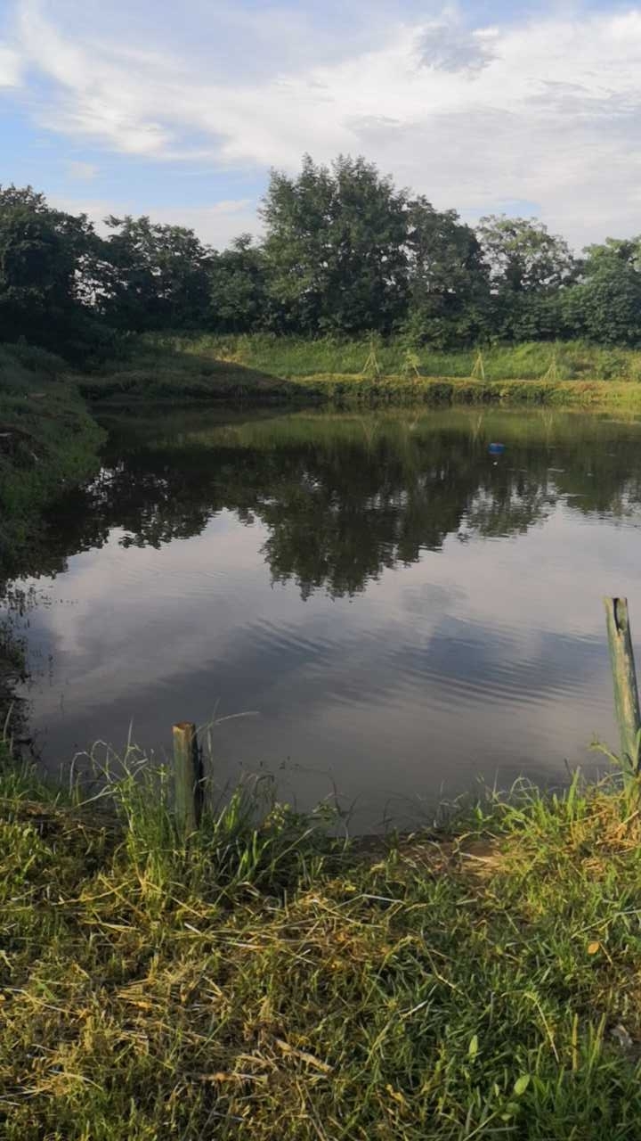 景岗生态农庄钓场