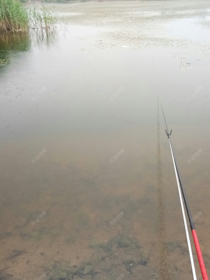 沒多會，眼看又要下雨了。
