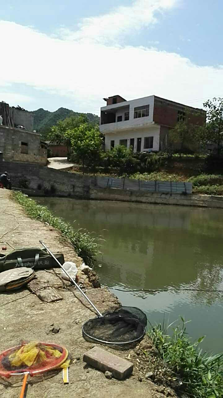 小坝丰家桥鱼塘