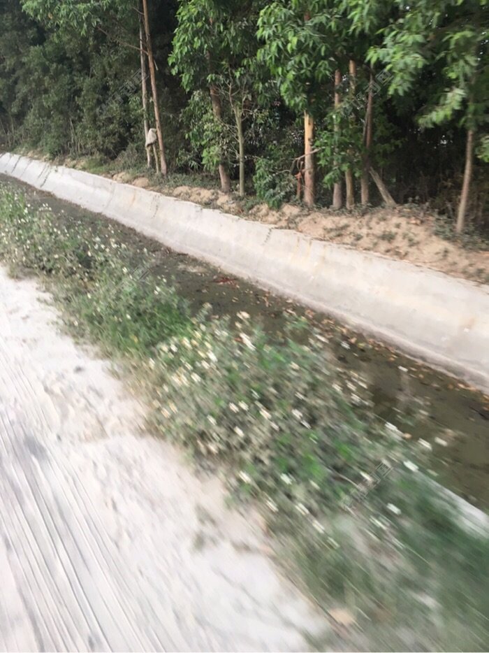 好多基本都是干的！