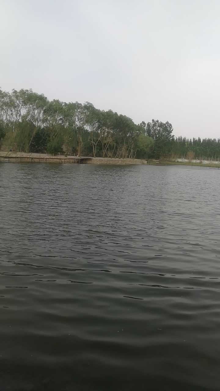 小路鱼塘垂钓园