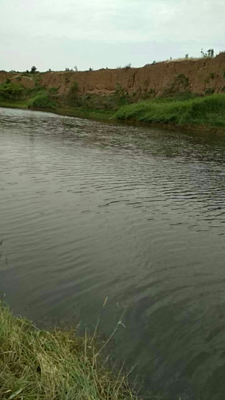 南权村清河钓点