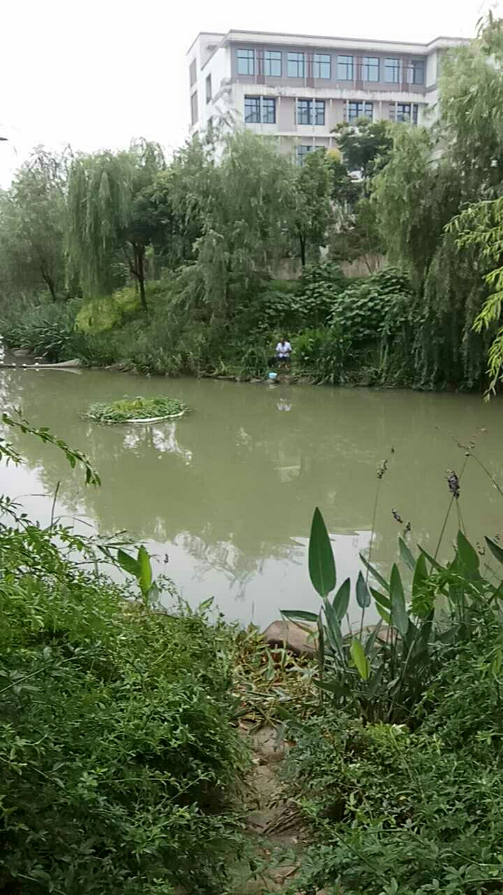 长阳中学都市水乡附近野河