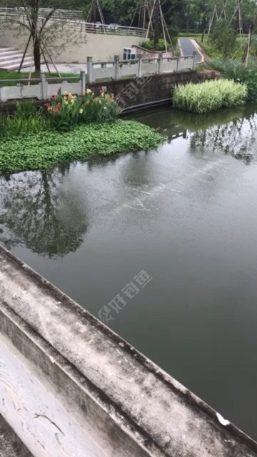 三和嘉园旁河道