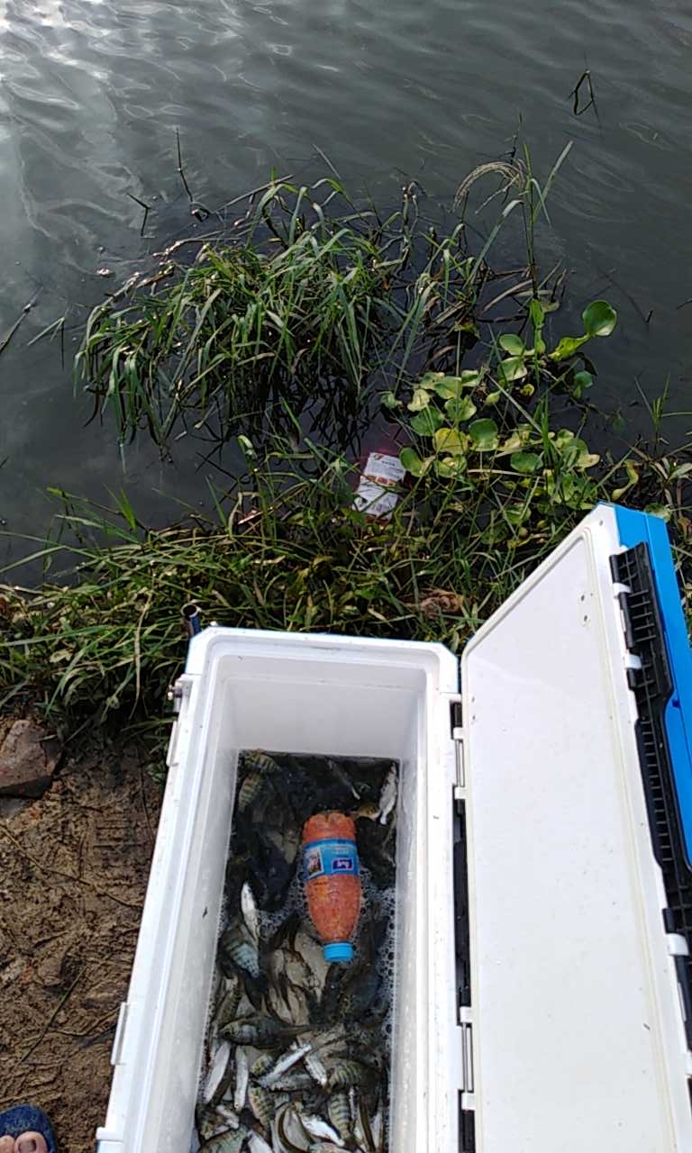 白沙湾第三工业区废塘