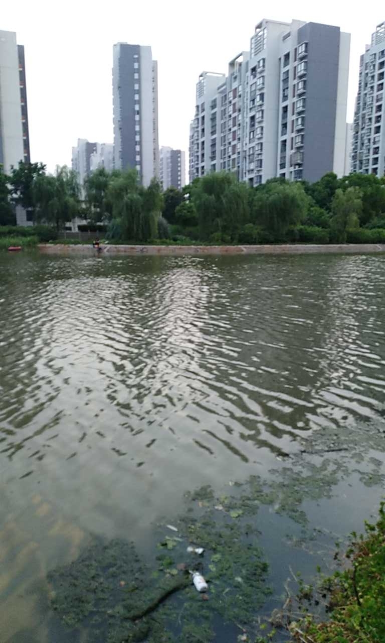 外冈恒飞路中学旁