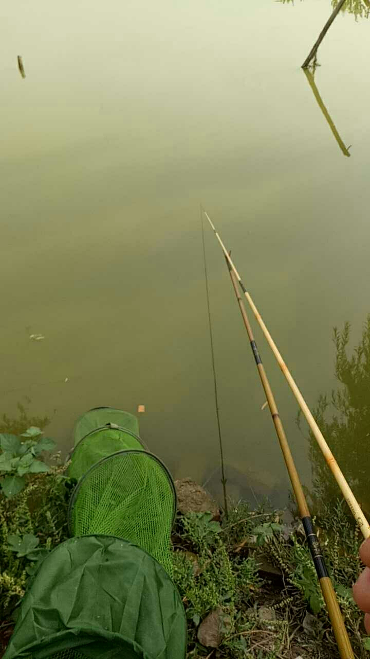 青堌集刘寨东坑