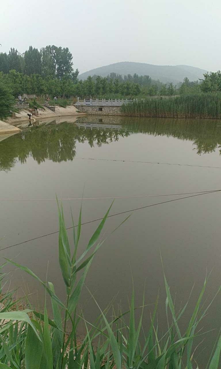 郡岭庄园快乐垂钓中心