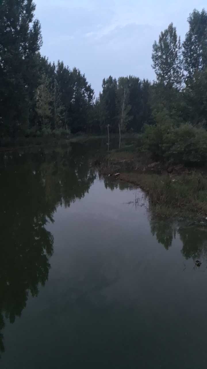 方城县四里店湾谭水库