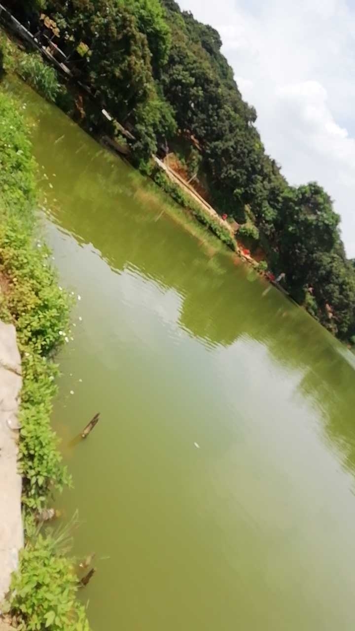 鸣泉山钓鱼烧烤场