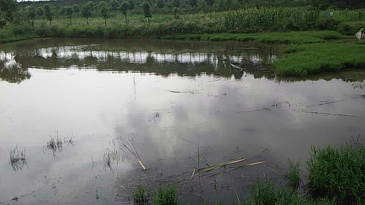 江夏三江源生态农场