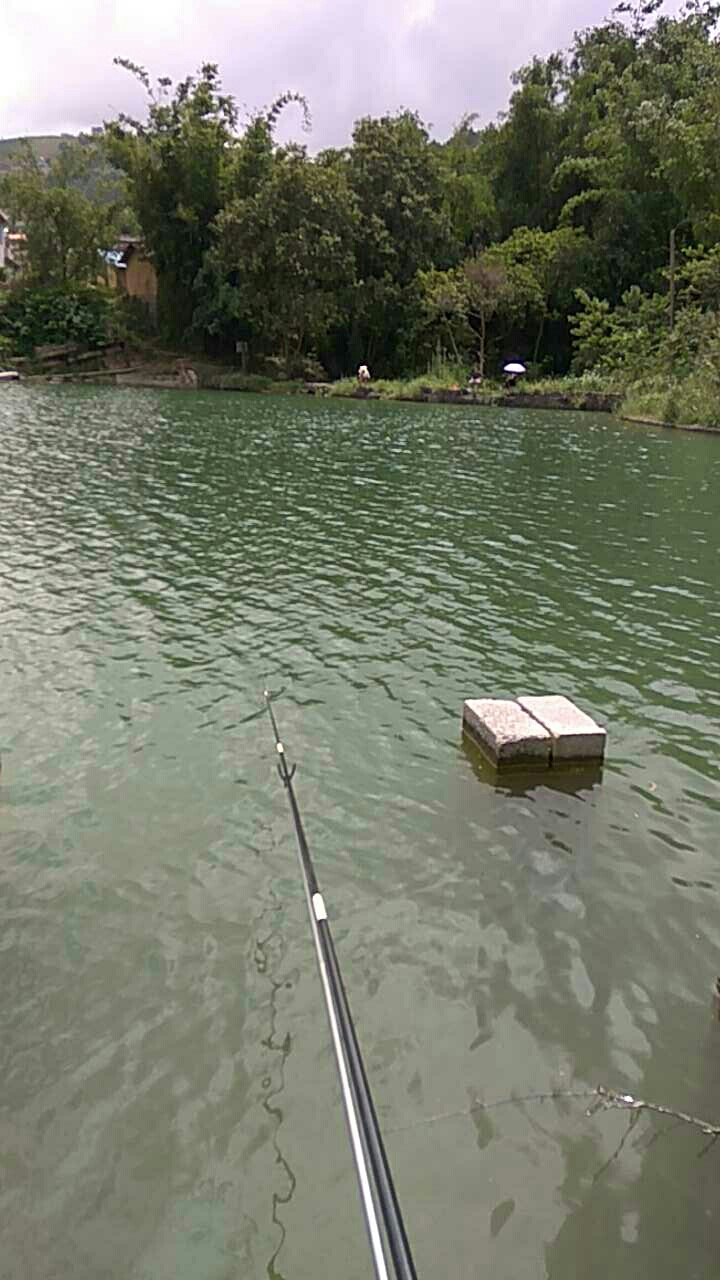 旱桥山泉水鱼塘