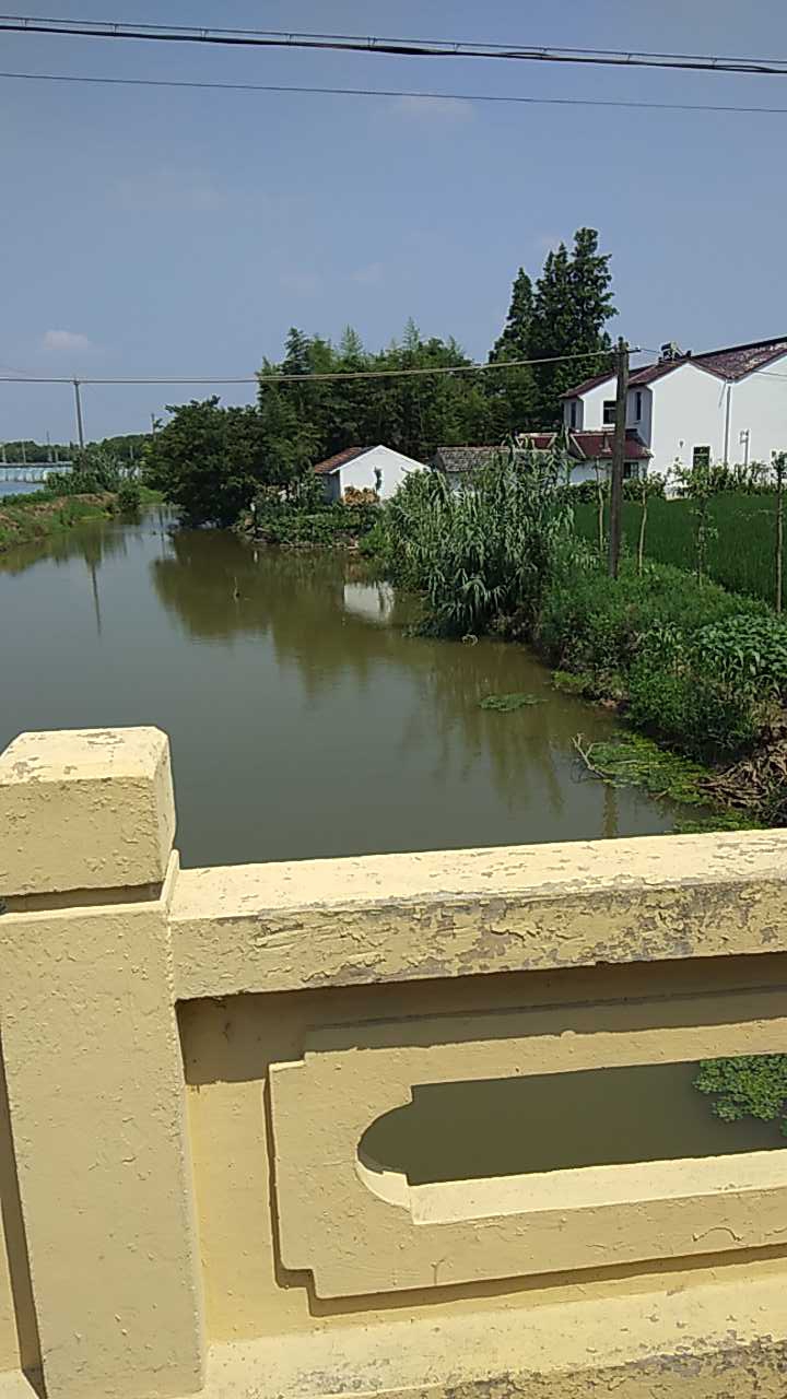 长堰村前小河