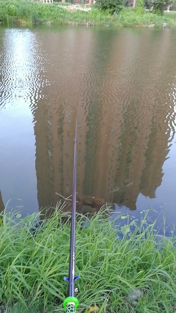 花溪路河边野钓