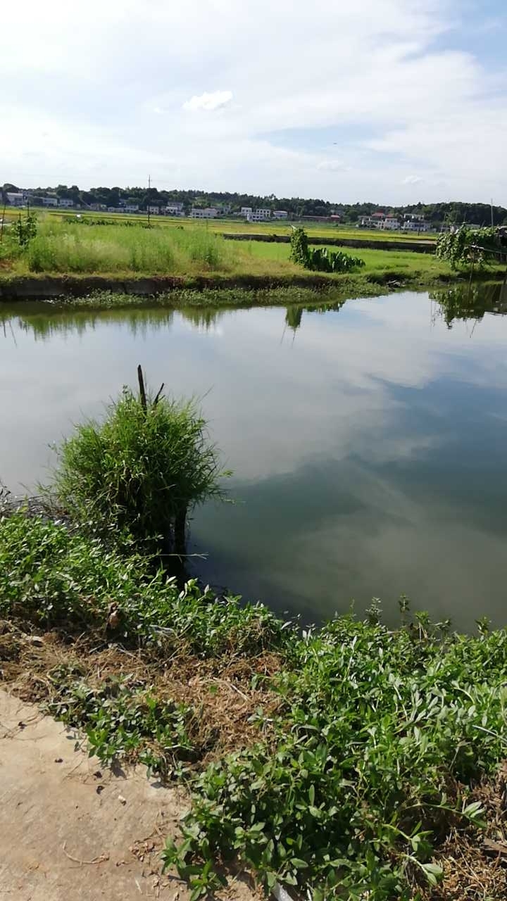 春华雷家大屋钓场