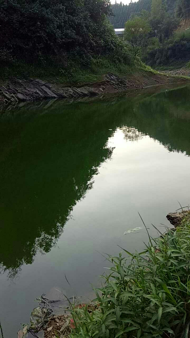 鹿马水库