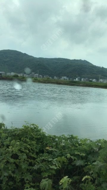 黄泥山头村野河