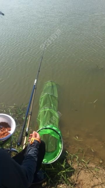 一人一爱好垂钓园