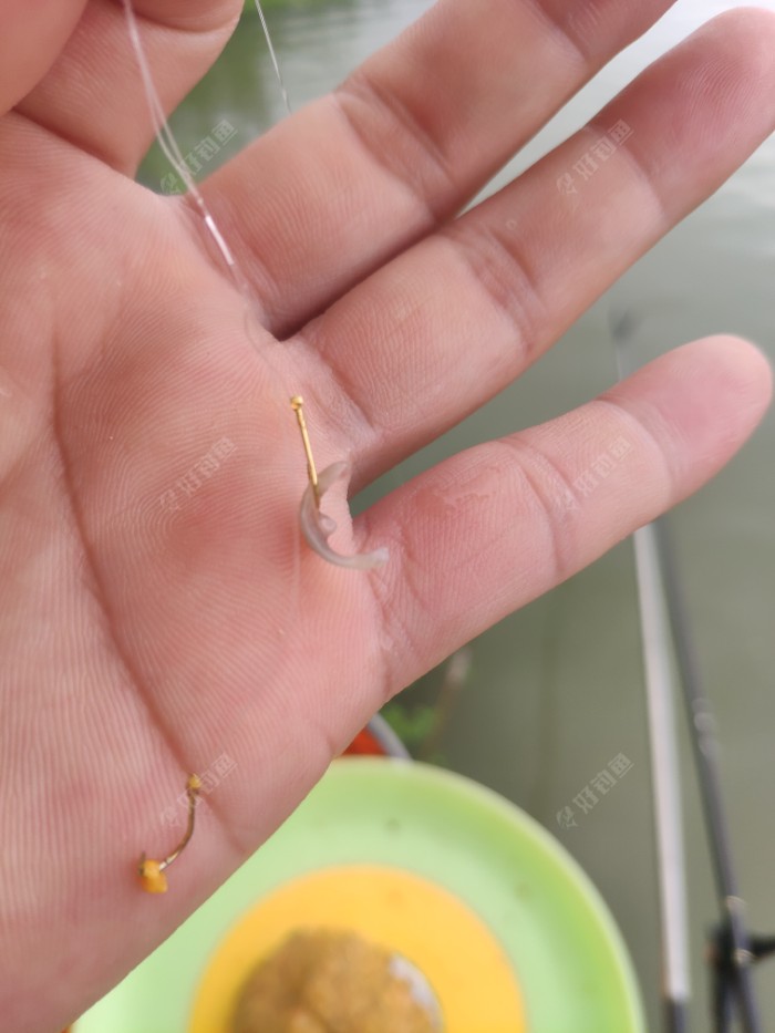 鱼嘴???