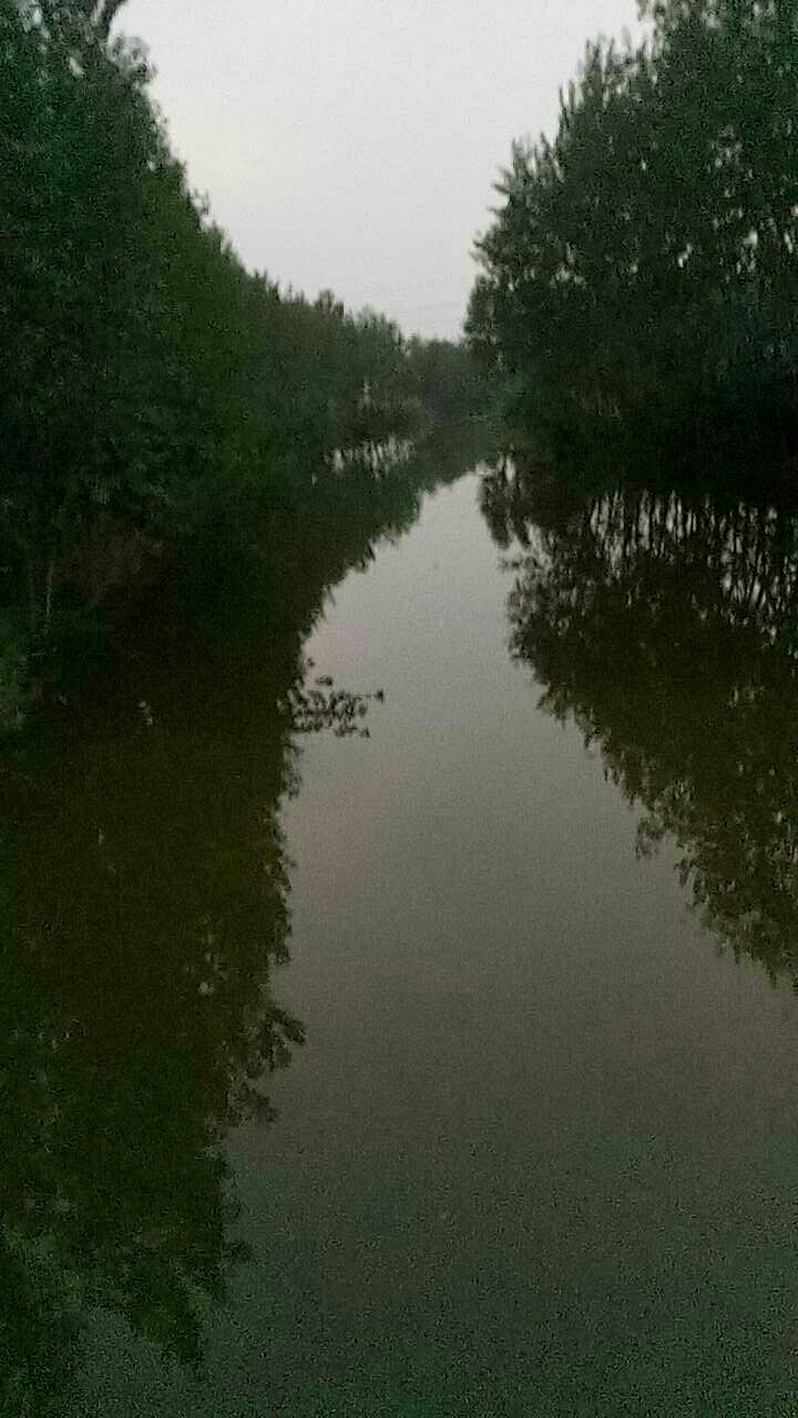 挖工庄河工桥野河