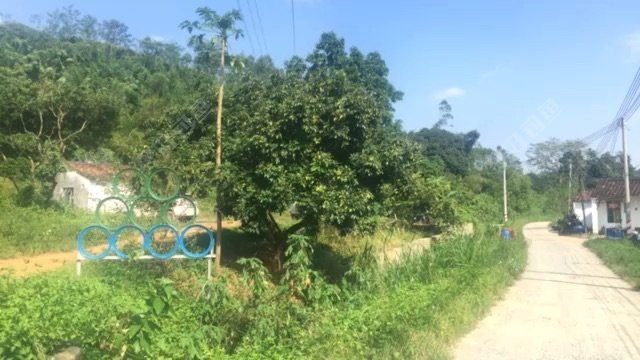 光和华丰养殖场