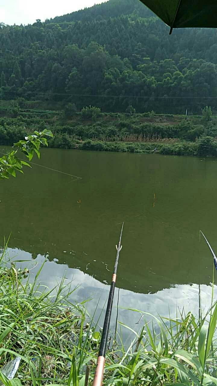 德阳鲁班水库_鲁班水库地址和电话信息 - 好钓鱼