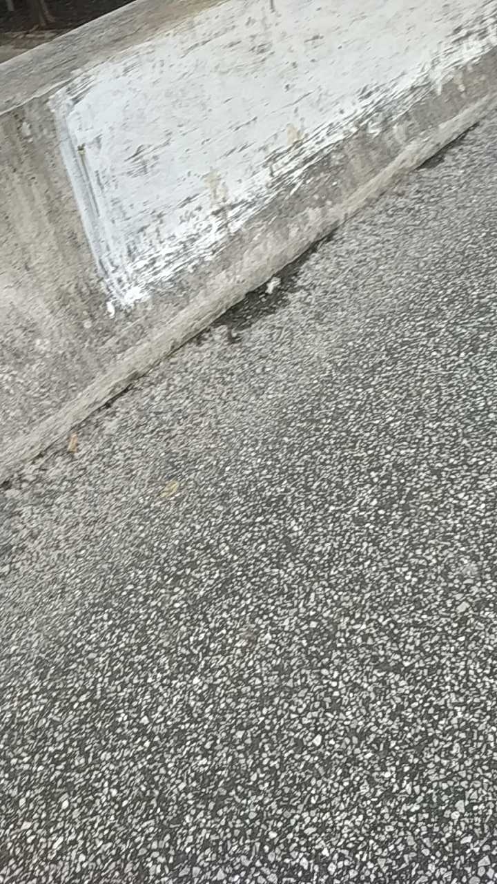 鹿河镇朝北面长江边堤岸附近小桥下野河