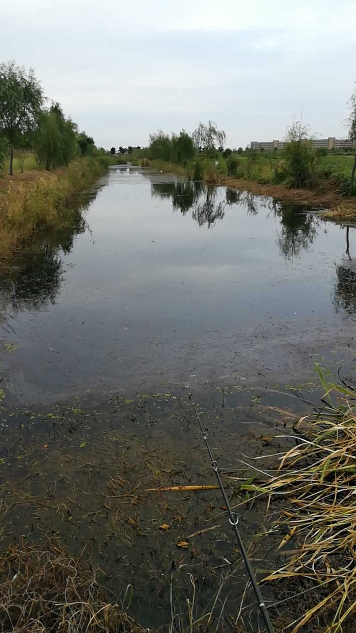 开沙岛南通长江高尔夫球场门口。