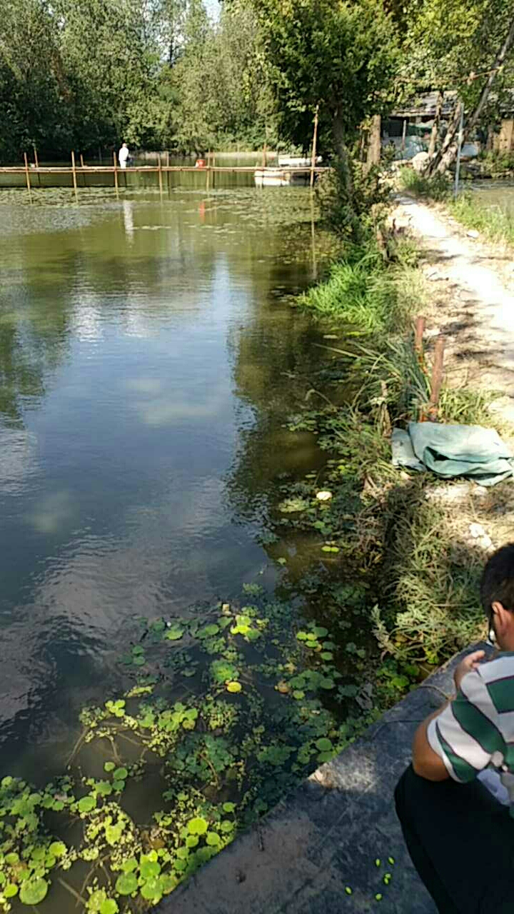 大自然渔具钓场